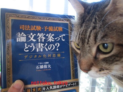 司法試験・予備試験 論文答案ってどう書くの?〈デジタル化対応編〉